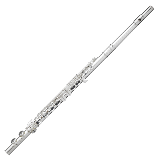 Recital flauto contralto - completo